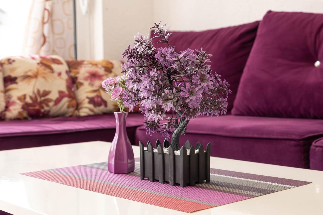 Marojevic, Apartman *